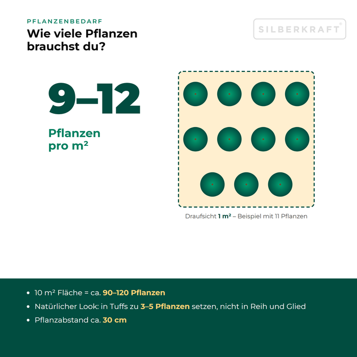 Pflanzenbedarf Wilde Möhre (Daucus carota): 9–12 Pflanzen pro m², 10 m² Fläche = ca. 90–120 Pflanzen