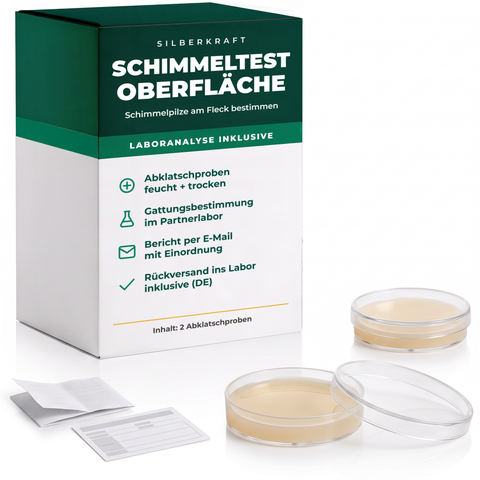 Schimmeltest Oberfläche mit Laboranalyse – Schimmelpilze am Fleck bestimmen