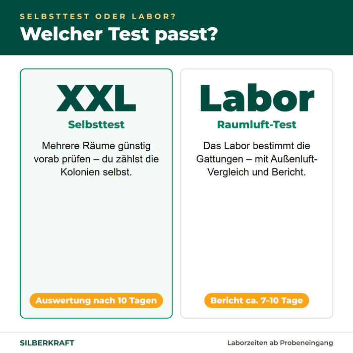 Selbsttest XXL oder Labortest Raumluft – welcher Test passt