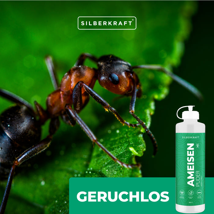 Ameisen-frei Pulver – Ameisenmittel für Innen & Außen – 100% Kieselgur – Alternative zu Ameisenköder und Ameisenspray - Silberkraft