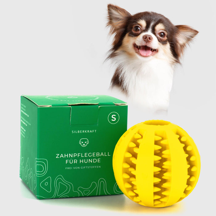 Hundeball mit Noppen zur Zahnpflege - Silberkraft